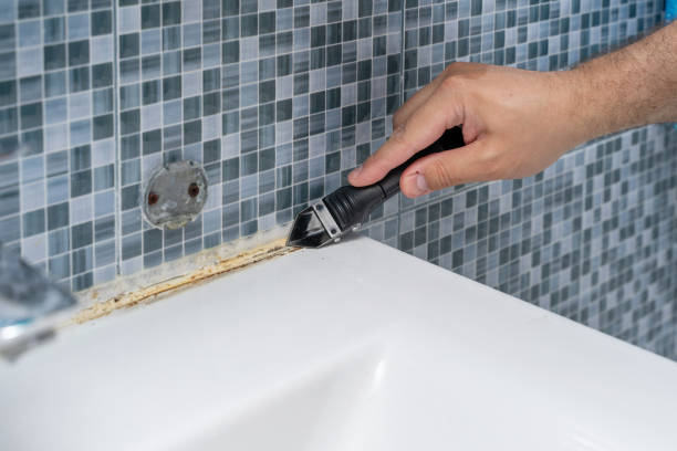 Best Bathroom Mold Remediation in St Augustine South, FL